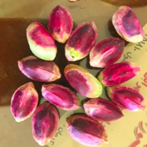 خرید مغز پسته کله فندقی سبز و تازه