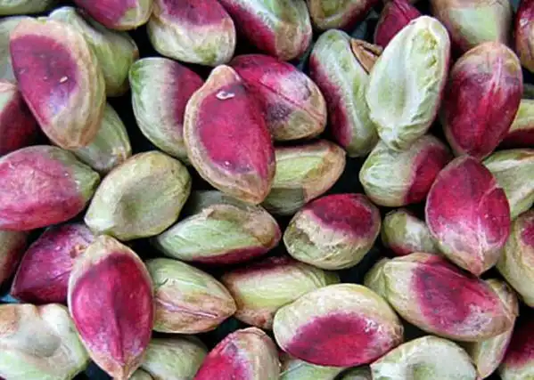 مرکز فروش تخصصی انواع مغز پسته اکبری