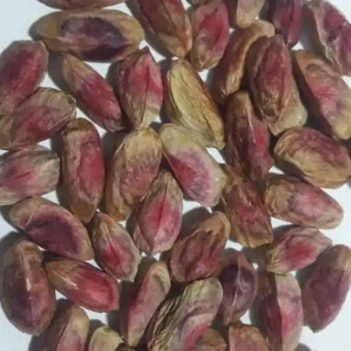 مرکز فروش تخصصی انواع مغز پسته اکبری