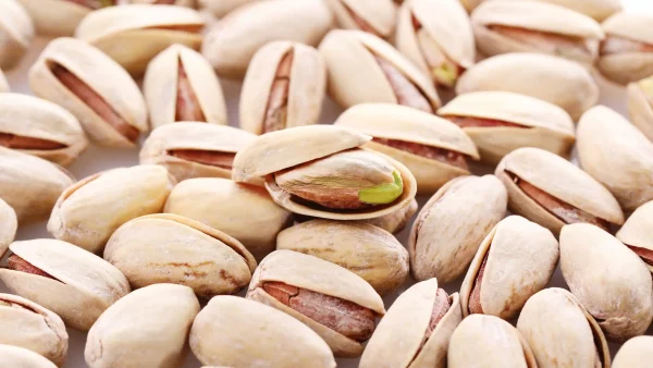 قیمت و خرید مغز پسته فندقی تازه