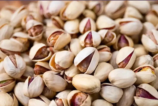 فروش مغز پسته کله قوچی سبز و تازه