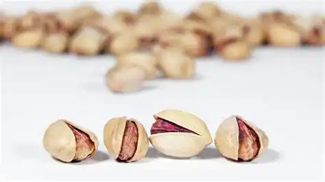 خرید مغز پسته کله فندقی سبز و تازه