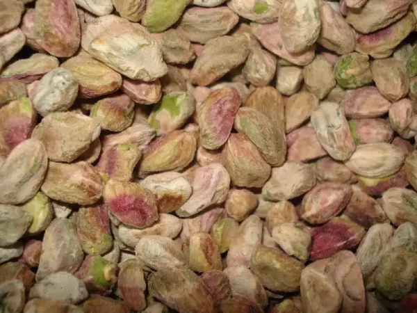 مرکز فروش تخصصی انواع مغز پسته دو پوست