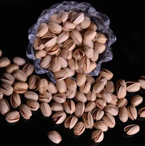 خرید مغز پسته کله قوچی سبز و تازه