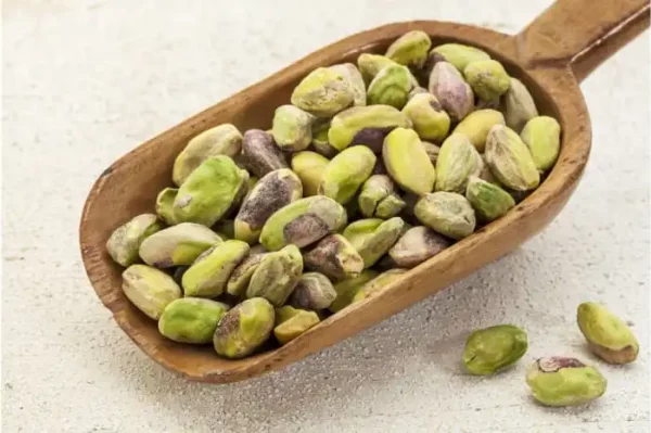 فروش مغز پسته فندوقی سبز و تازه