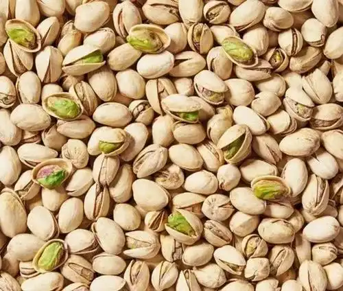 فروش پسته کال کرمان سبز و تازه