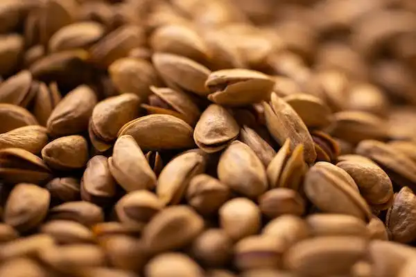 خرید مغز پسته اکبری اعلا