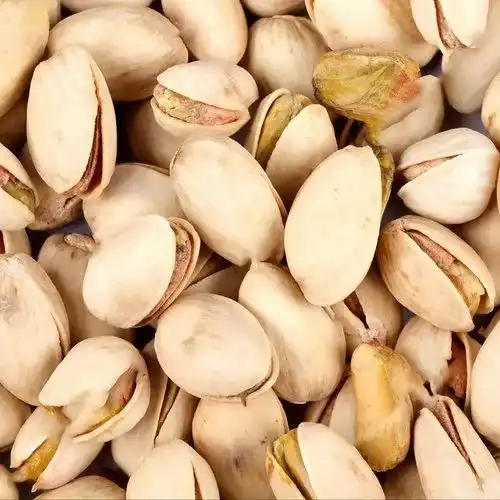 قیمت و خرید مغز پسته فندقی تازه